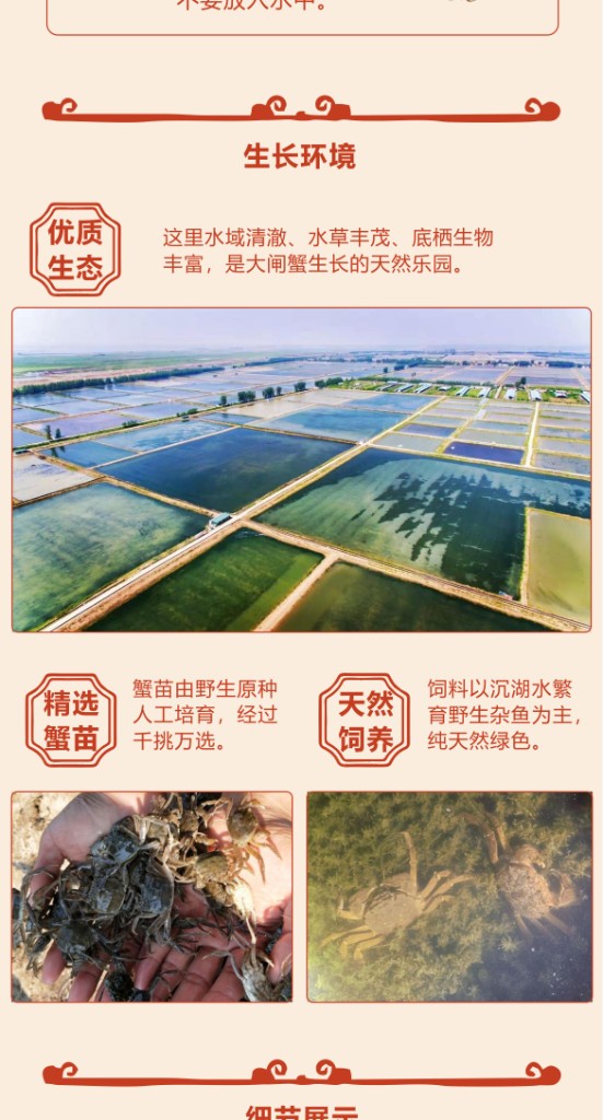 商品详情2