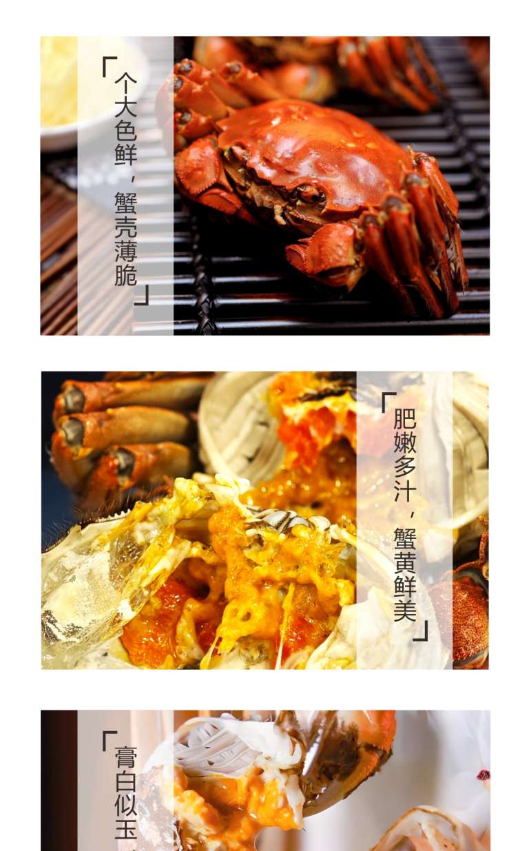 商品详情3