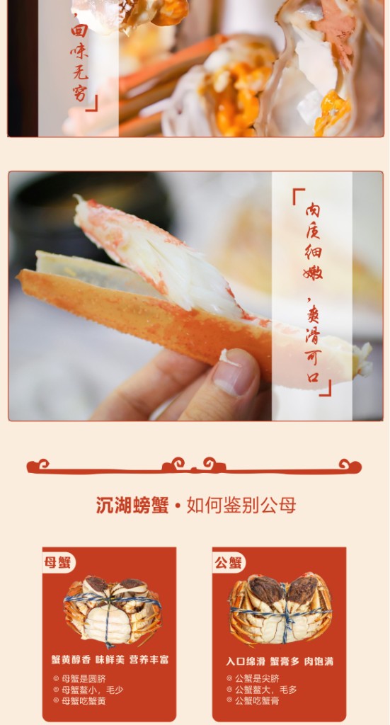 商品详情4
