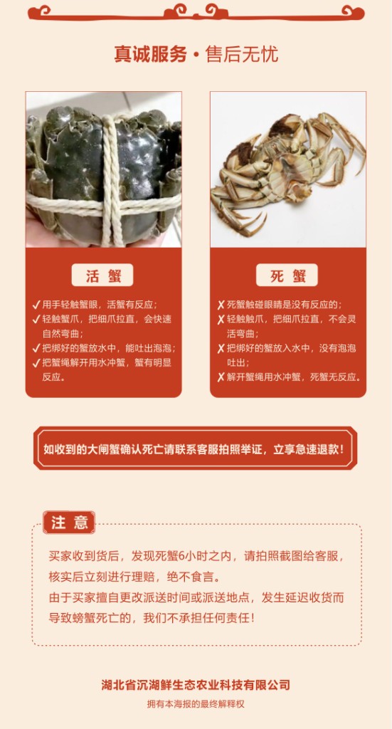 商品详情9