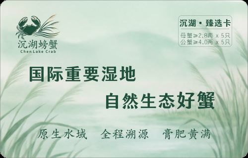 臻选卡·沉湖鲜生态大闸蟹 5对10只